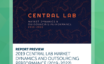 Preview-cover-2019 Central Lab Market Dynamics and Outsourcing Performance (2019-2022)