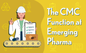 The CMC Function at Emerging Pharma